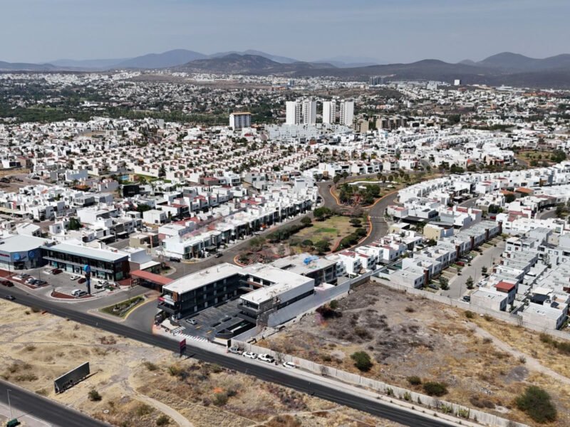 Local #12, Quiwi Juriquilla